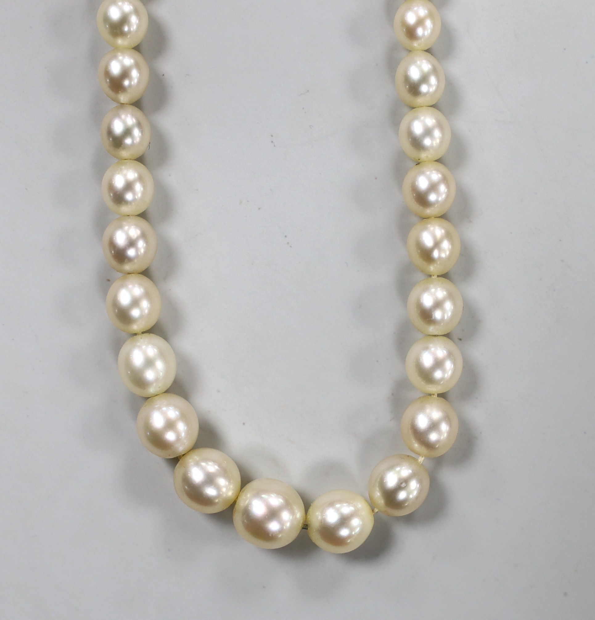 A single strand graduated cultured pearl necklace, with white metal clasp engraved 'Ciro' and 'platinum', 36cm.